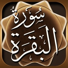 تفسير سورة البقرة--الجزء ١٠