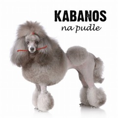 Kabanos - Buda Dla Azora