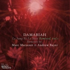 Damabiah - Irminsul, Le Pilier Du Monde (Andrew Bayer Remix)