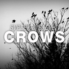 SVPLEX & Steve_V - Crows (Original Mix) * BUY 2 DL*