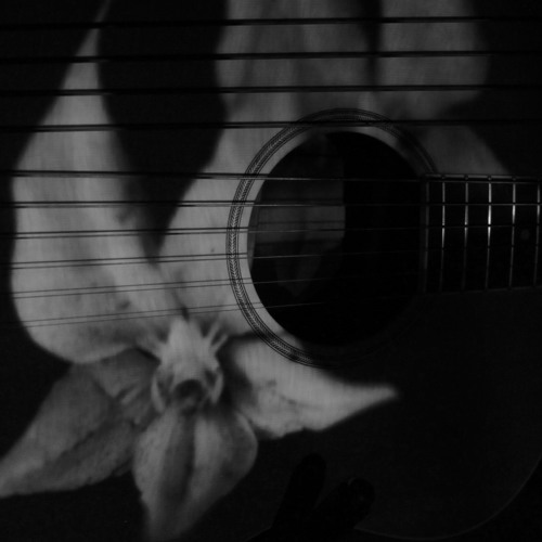 Acoustic Ambient Improv #10