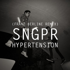 SNGPR - Hypertension (Franz Berline Remix)