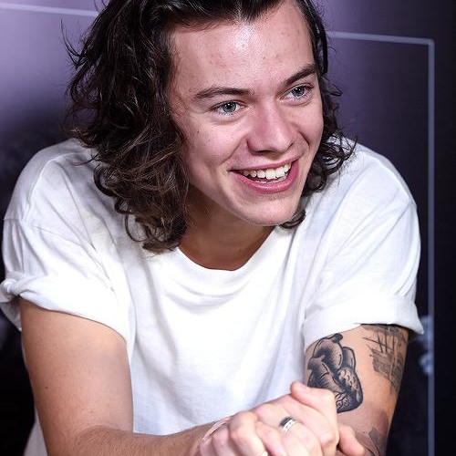 HARRY / GO HARRY GO 村越弘明 DVD HARRY 「GO HARRY GO」【W5-24