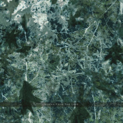 Voices From The Lake - Reptilicus