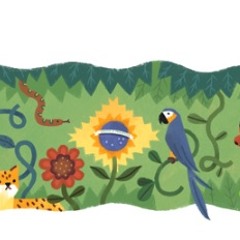 Allan Holdsworth Cover - Looking Glass