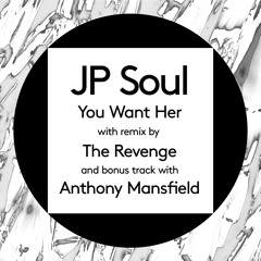 JP Soul - You Want Her (Roam Recordings)