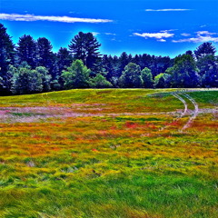 Victory Garden x still haze - i had to tell myself