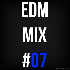 EDM Mix #07 | Shaun Cacciattolo
