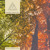 Artwork for Summer Turns Fall (DJ Mix)