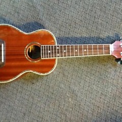 Strut Strut (Lyrics in Description + Brother plays Ukulele)