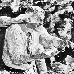 Fcuk The Slice I Want The Cake Mix