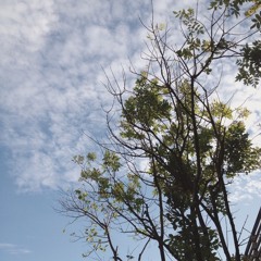 ใจรัก cover by Pam&Jit