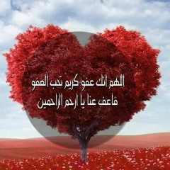سورة آل عمران -تلاوة رائعة- الشيخ فارس عباد