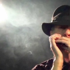 If Tomorrow Never Comes -- Sad Harmonica Mundharmonika - From YouTube