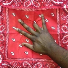 Welkome 2 da Swans FreeStyle