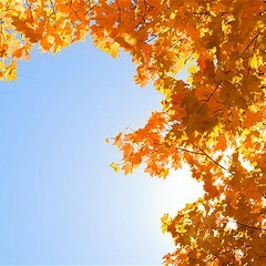 Prelude To The Autumn