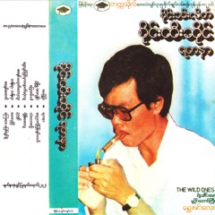 ငွေလွင်ပြင်မှာပျောက်ဆုံးသူ - စိုင်းထီးဆိုင် (၁၉၈၉)