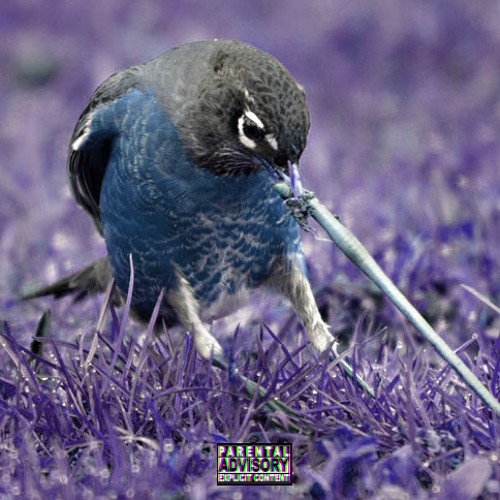 ItsDez X ReadyRock James - Early Bird (prod by Treezlowkey)