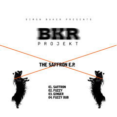 Simon Baker Presents BKR Projekt - Saffron