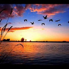 Unloved In The Night [Darcys Edit] DL