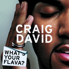 What's Your Flava - Craig David (YROR? & Amir Remix) *Link 4 D/L in Description*