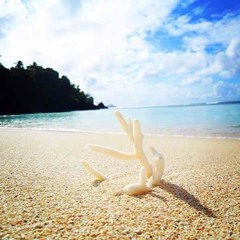 Fijian hits