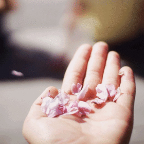 테일즈위버 세컨드런