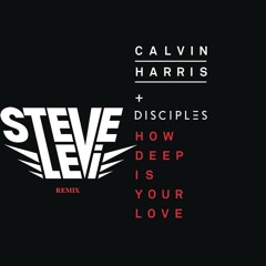 Calvin Harris & Disciples - How Deep Is Your Love (Steve Levi Remix)