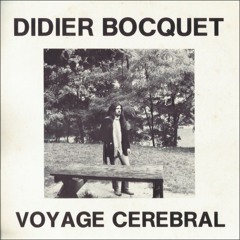 Didier Bocquet - Voyage Cerebral - 005