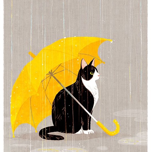 Umbrella - Itou Kashitarou