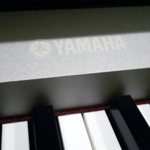 Stream alexander_evdokimov | Listen to Yamaha YDP-S31 Demo playlist online  for free on SoundCloud