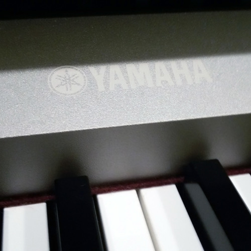Stream alexander_evdokimov | Listen to Yamaha YDP-S31 Demo