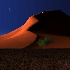 Desert Love
