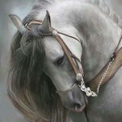 كَان لِي ظِلُ ♫