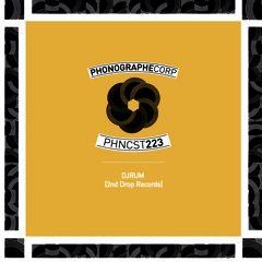 PHNCST223 - DJRUM (2nd Drop Records)