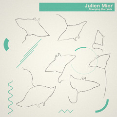 Julien Mier : Yesterday's Downpour [PREMIERE]