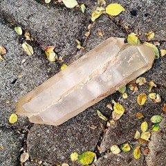 Lemurian Heartbeat