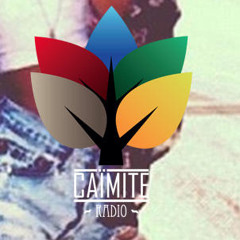 Vibes4YourSoul X Caimite Radio Special Mixtape