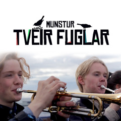 Tveir fuglar
