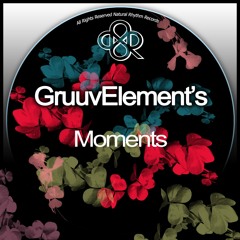 GruuvElement's - Surdo (Original Mix)