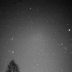 The Ship Song (Nick Cave Cover)