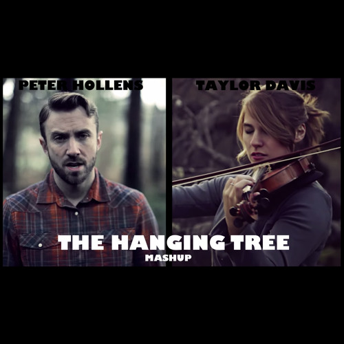 The Hanging Tree - Cover Mashup (feat. Peter Hollens and Taylor Davis)