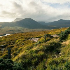 Axe-Fx II XL+ Quantum Firmware Test