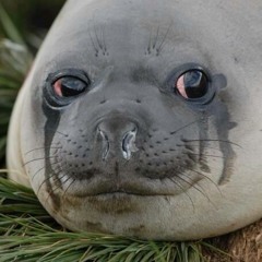 Fire In The Booth – Migos