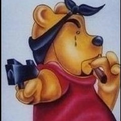 Winnie The Thug