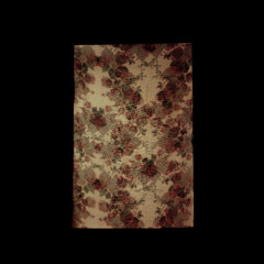 Michael Vallera - "No"