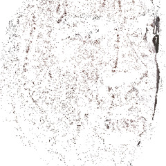 I Am Him (Prod. TB Beats)