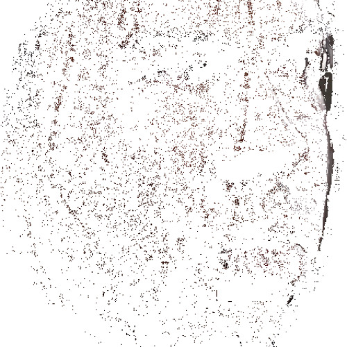 I Am Him (Prod. TB Beats)