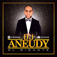 El Ruido De La Calle The Mixtape (EL Gigante ) DJ Aneudy
