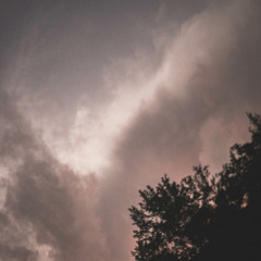 $cottie Rippen x Ghost Rivers x Mark IV - Malt Liquor (prod. MR.BERRNARD)